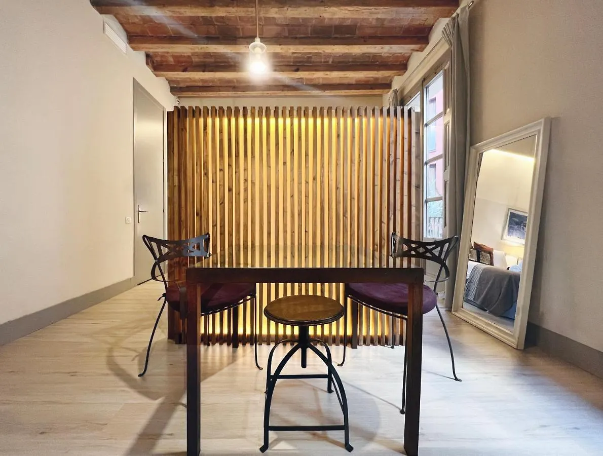 Plaza Catalunya IX Apartment Barcelona