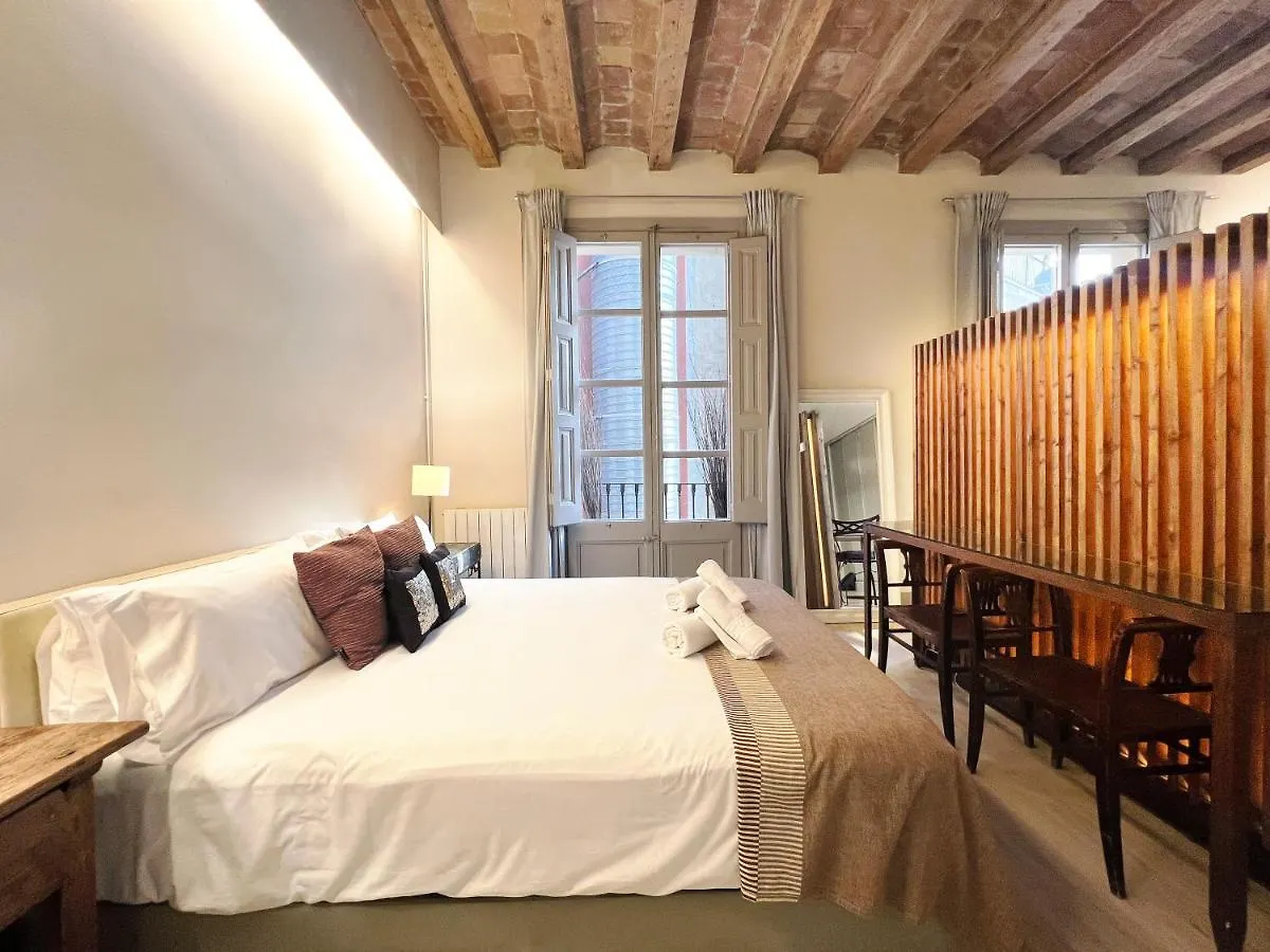 Plaza Catalunya IX Apartment Barcelona